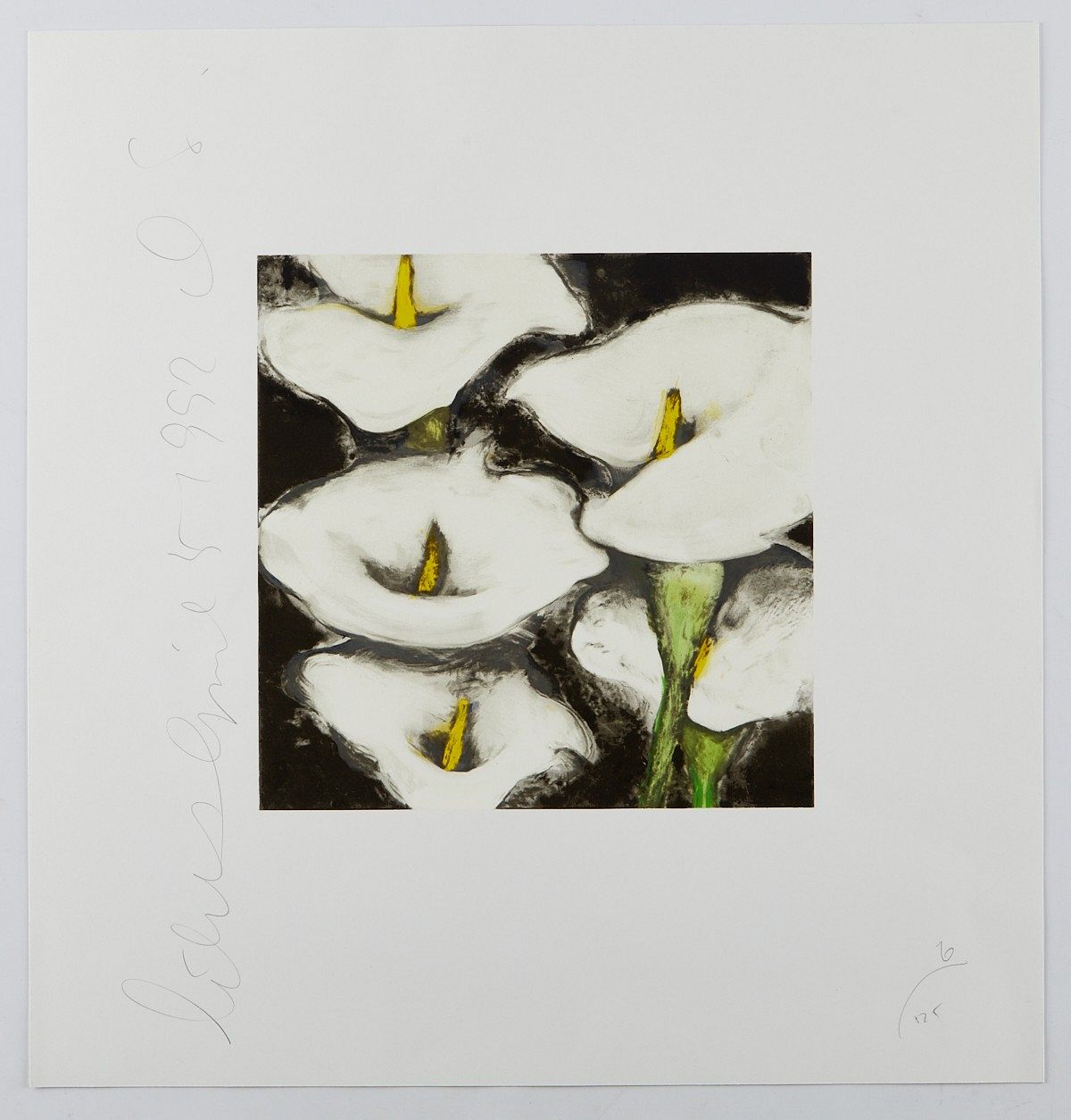 le_pho_banner 2 Donald Sultan Lilies Serigraph