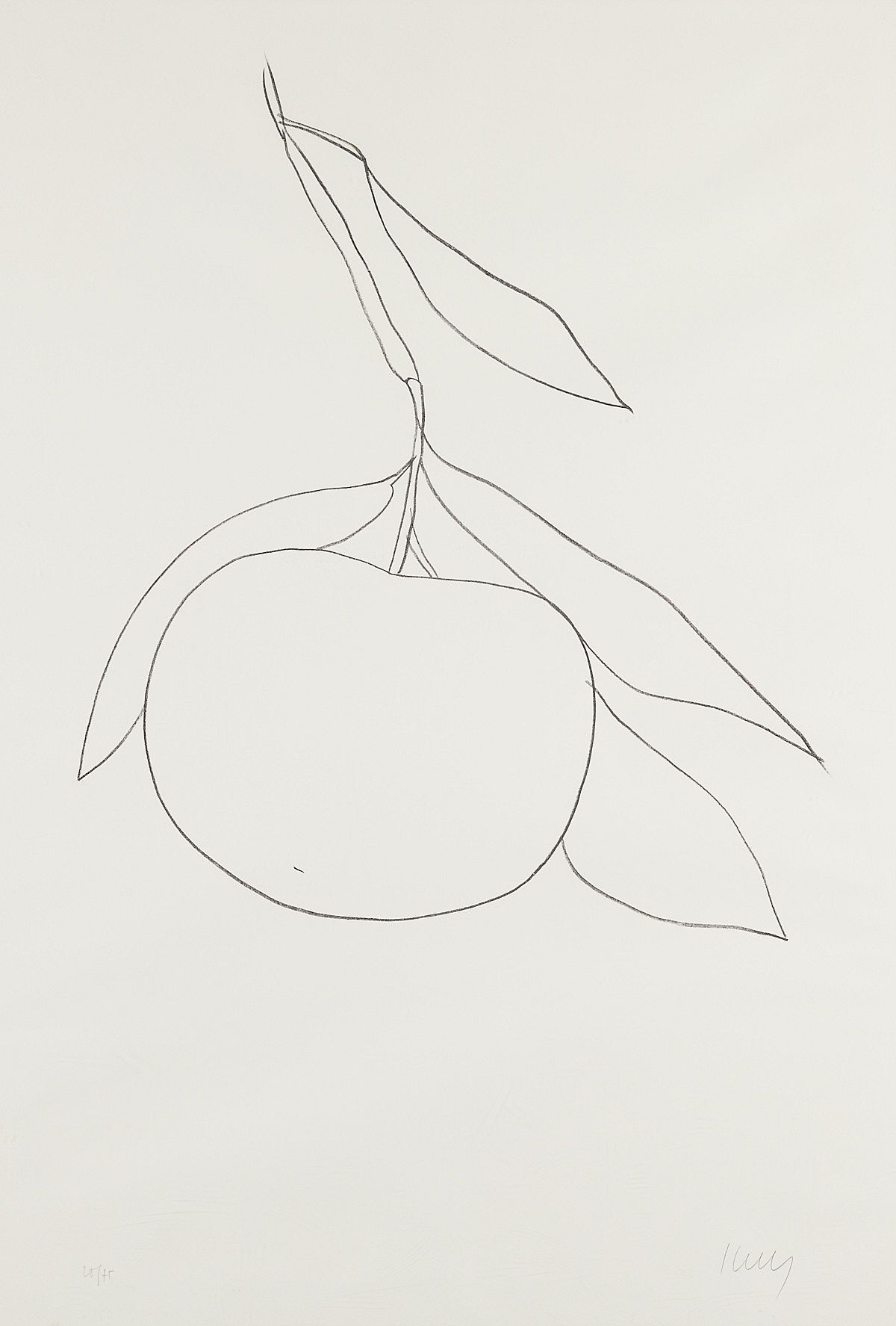 le_pho_banner 2 Ellsworth Kelly Grapefruit Lithograph 1965-66