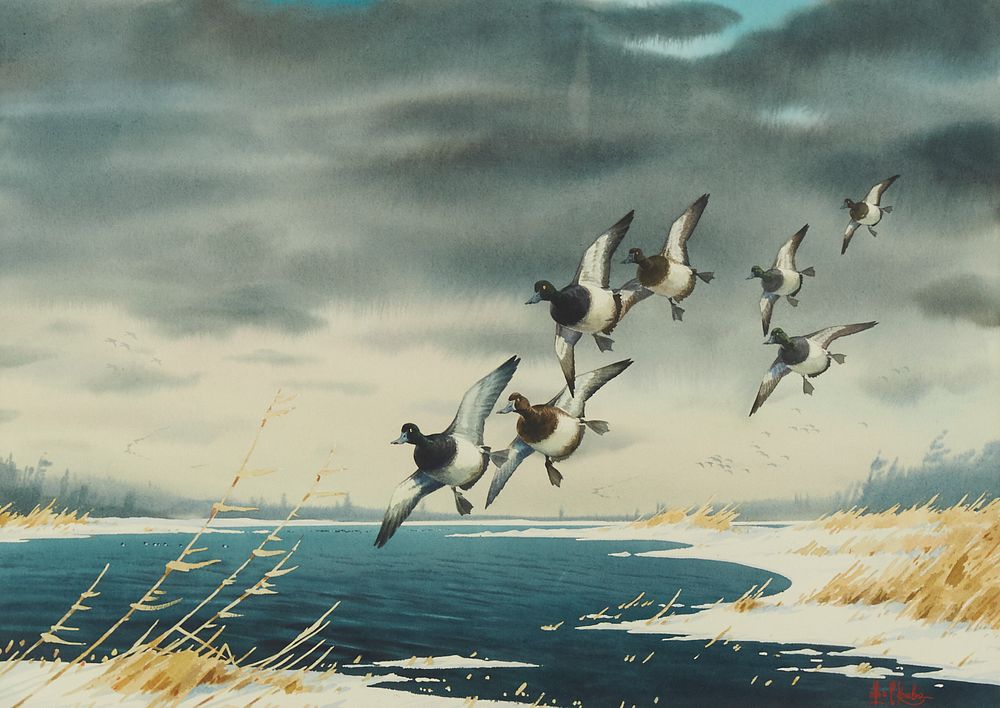 le_pho_banner 2 Les Kouba Flying Ducks Watercolor