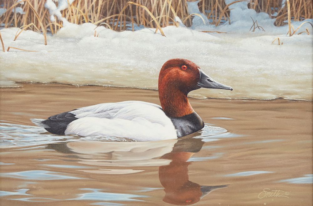 le_pho_banner 2 Daniel Smith Duck Acrylic on Board