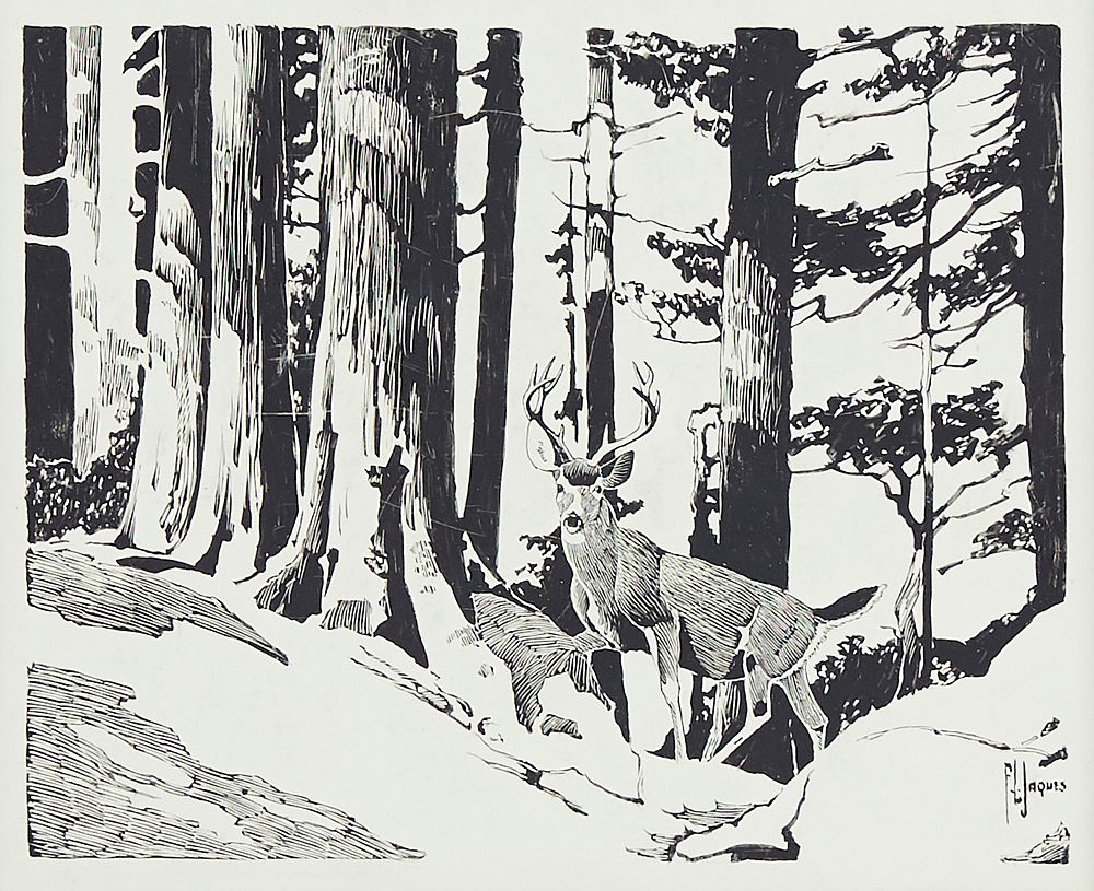 le_pho_banner 2 Francis Lee Jacques Deer in Woods Scratchboard