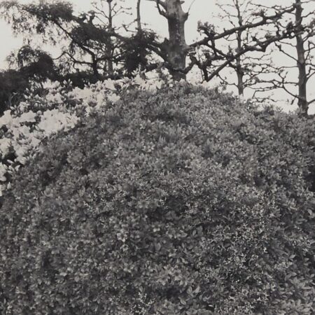 Lee Friedlander "Tokyo" Photograph