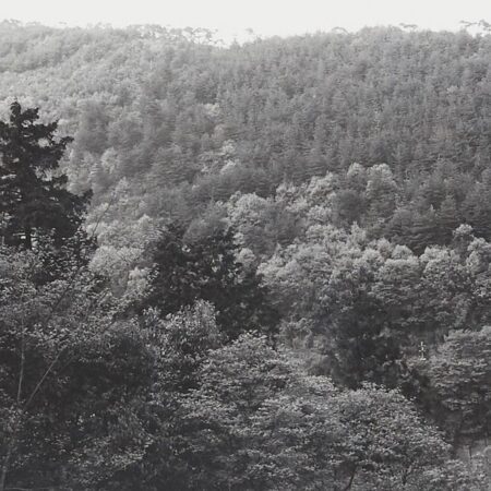 Lee Friedlander "Kyoto" Photograph