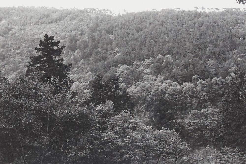 le_pho_banner 2 Lee Friedlander "Kyoto" Photograph