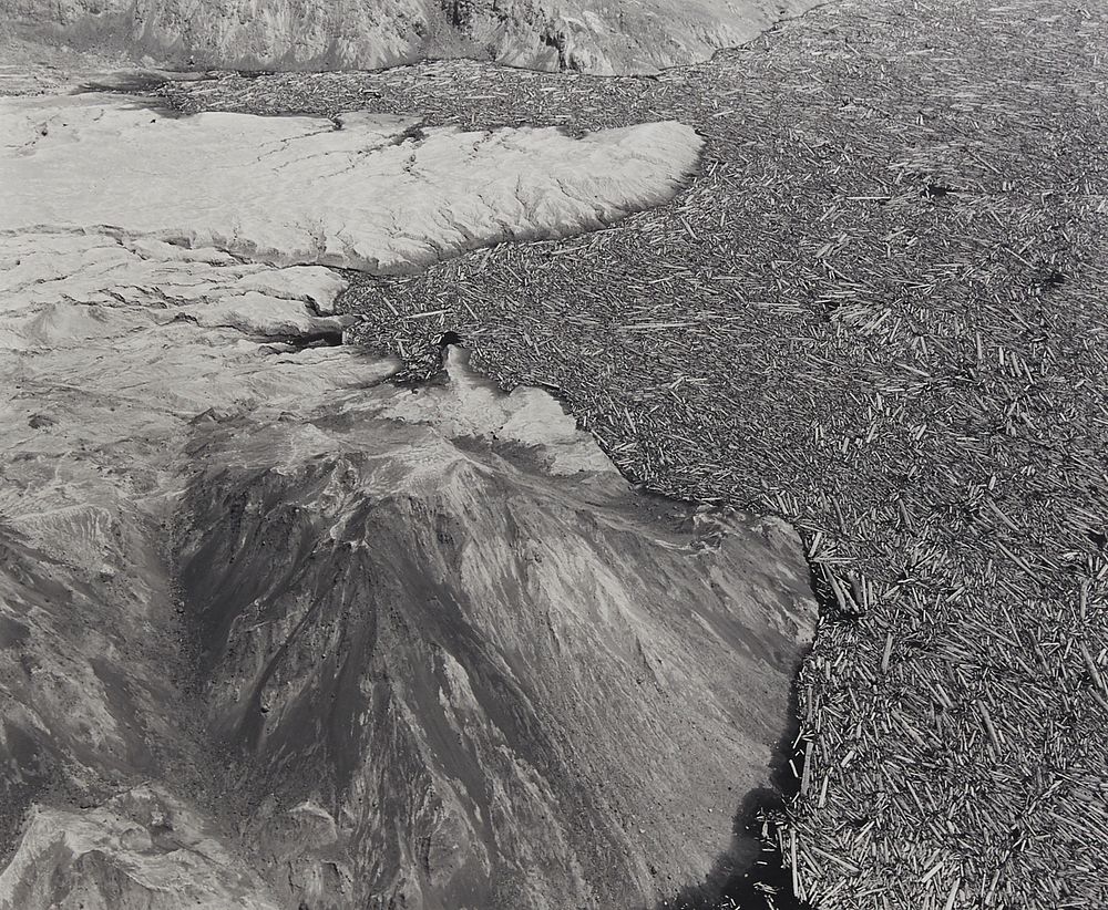 le_pho_banner 2 Frank Gohlke "Aerial View: Logs and Debris" Photograph