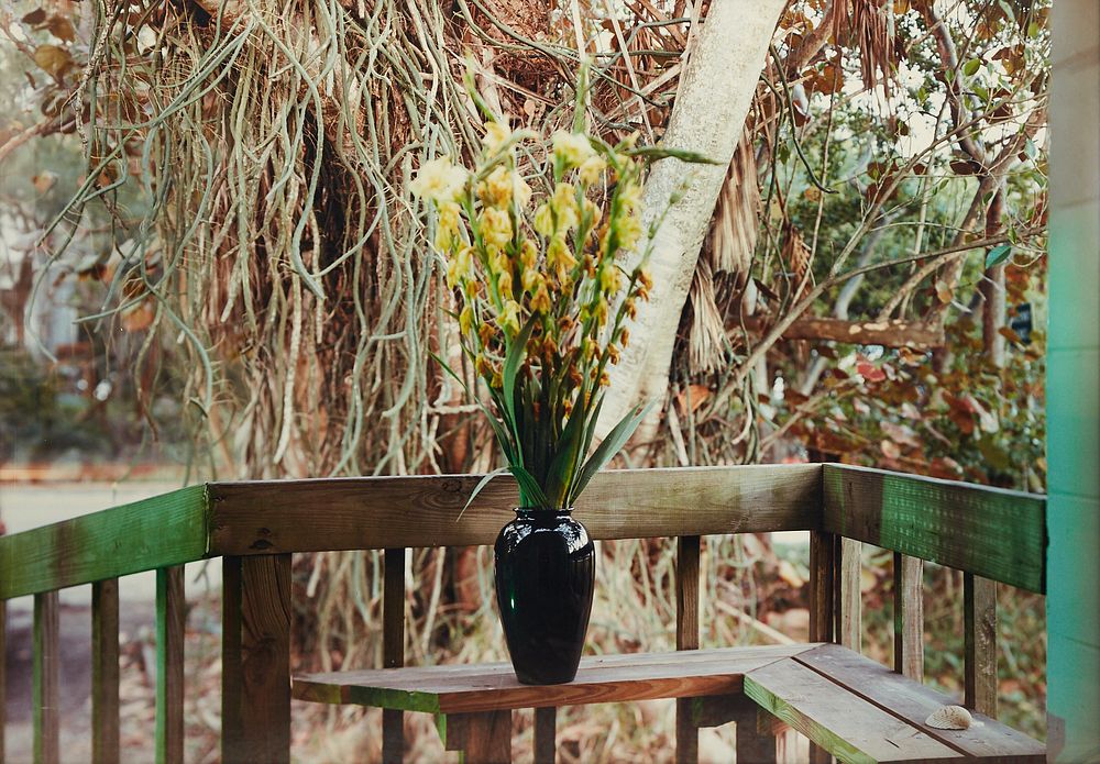 le_pho_banner 2 JoAnn Verburg Vase of Flowers Large Photograph