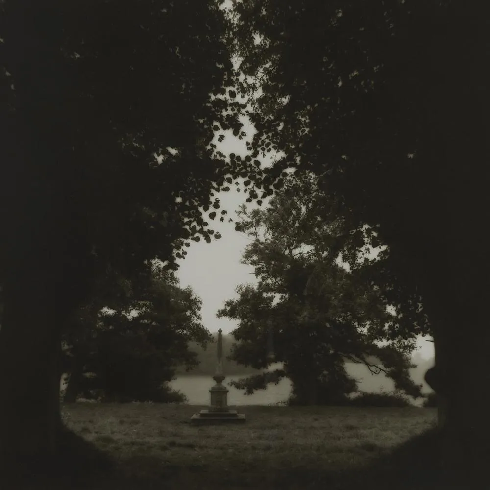 le_pho_banner 2 Lynn Geesaman Untitled Photograph