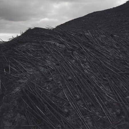 Frank Gohlke "Aerial View Downed Forest" Photograph