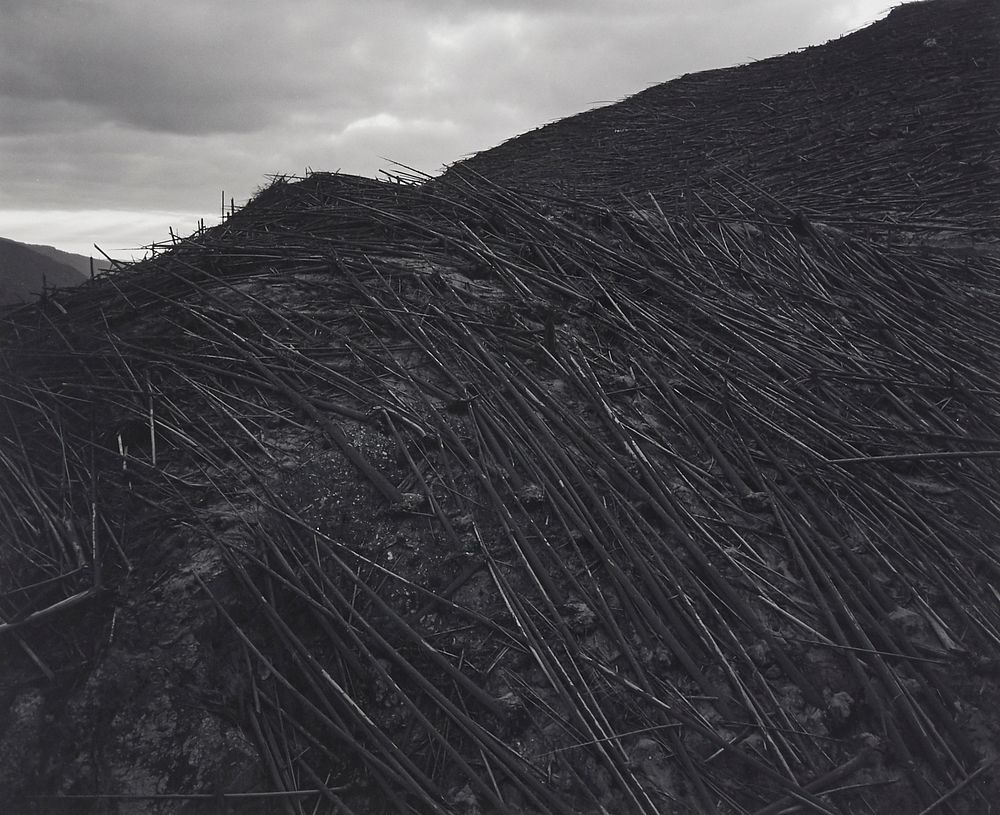 le_pho_banner 2 Frank Gohlke "Aerial View Downed Forest" Photograph
