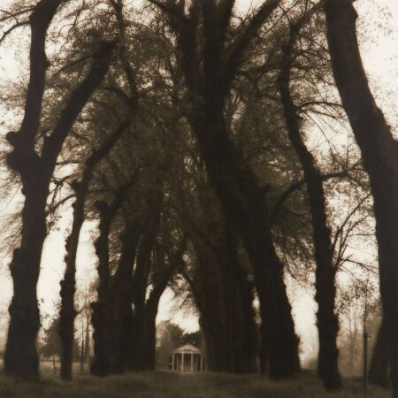 Lynn Geesaman "Parc de Canon France from Pocties of Place" Gelatin Print 1995