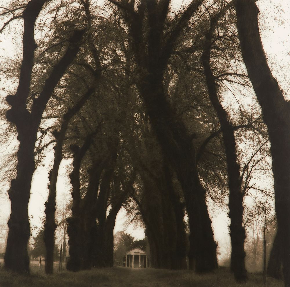 le_pho_banner 2 Lynn Geesaman "Parc de Canon France from Pocties of Place" Gelatin Print 1995