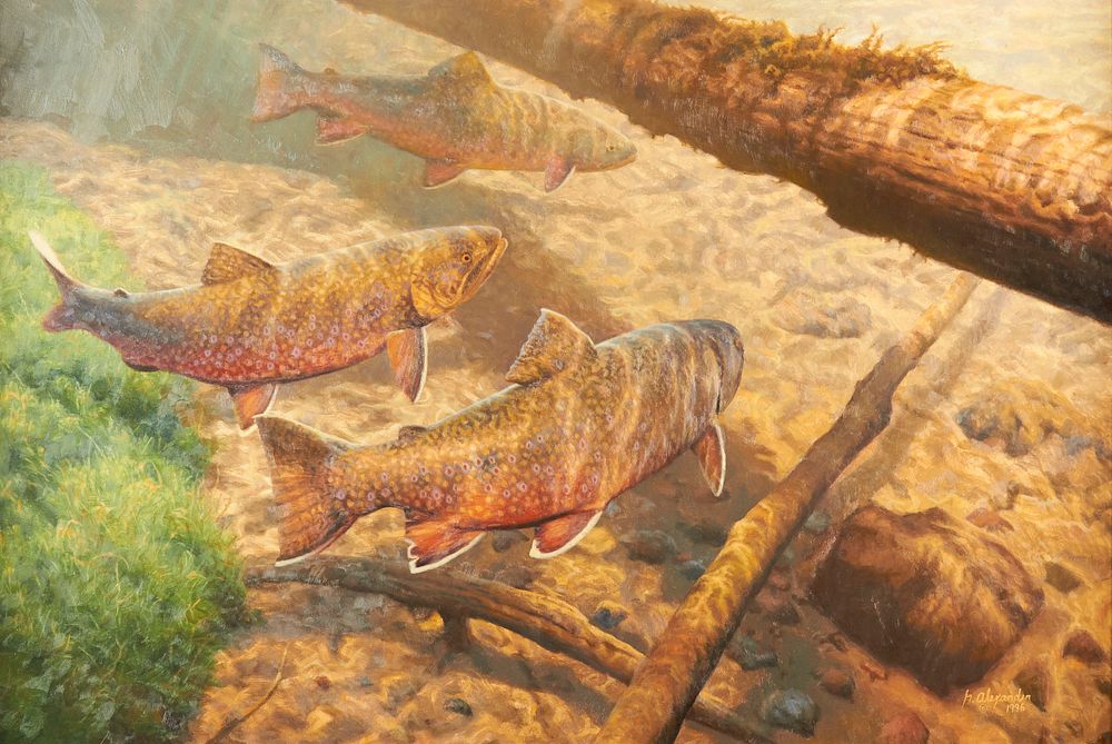 le_pho_banner 2 Greg Alexander "Trout" Oil on Board