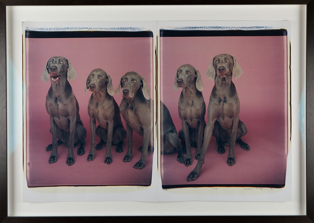 William Wegman "3=5" Dogs Photograph Diptych