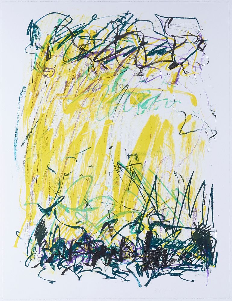 le_pho_banner 2 Joan Mitchell "Sides of a River II - Bedford" Lithograph 1981