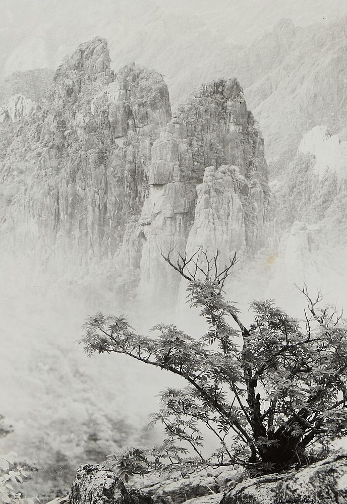 le_pho_banner 2 Chin San Long Photograph "Majestic Solitude"