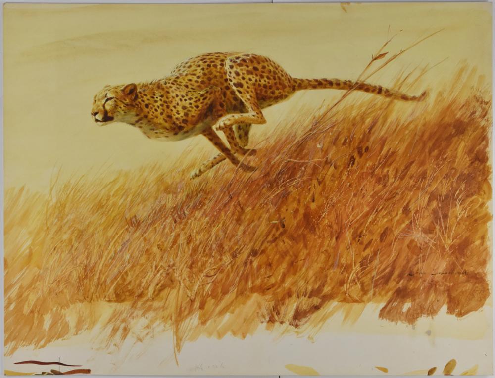 le_pho_banner 2 John Schoenherr Cheetah Gouache on Paperboard Illustration